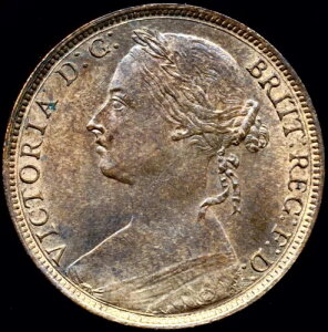 1892 �y�j�[ S3954 F134 ANC