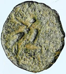 fgIX II jJg[ AeB[N Ñ SELEUKID ÂMṼRC ZEUS C[O i101919