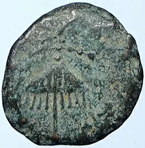 wf AObp I GT ̃NEfBEX MV RC wfB 1244 i108861