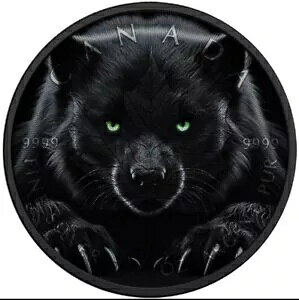 �u���b�N �E�����@���� 2024 1�I���X �V���o�[ ���[�v�� ���[�t �u���b�N �v���`�i �R�C�� �P���ڕt��