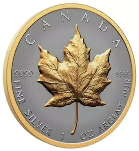 2023 Ji_ 20 h胁[v[t㎿