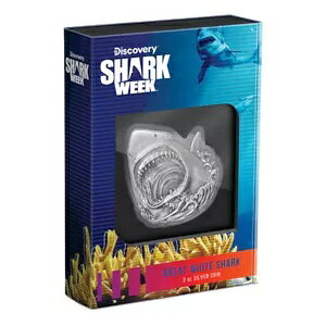 2024 V[N EB[N zzWU 2 IX Vo[ RC AS ~e[W Iu 1000