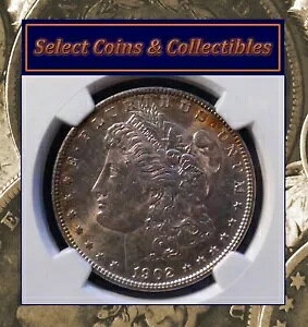 1902-O ���[�K�� �V���o�[ �_���[ - NGC MS 64 �G�b�W �g�[�� �u���U�[! PQ�R�C���I #1264
