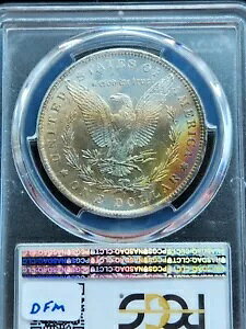1883-O ���[�K�� �V���o�[ �h�� ������ PCGS �����X�^�[ ���o�[�X�g�[�� �� ���C���{�[��