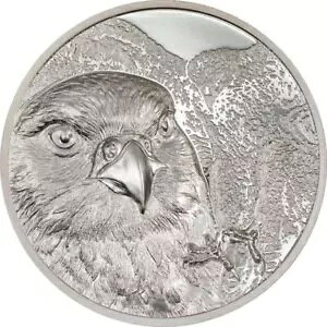�����S�� 2023 500Togrog FALCON ���C���h�����S�� 1�I���X���-