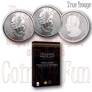 2024 鑠[v [t tBMA 5 h v~A n Vo[ 3 RC Zbg Ji_