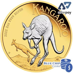 2022 $2 I[XgA JK[ 2IX Vo[ o[X 