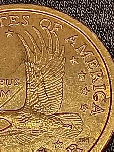 Sacagewea 2000 P ʃX^v~X