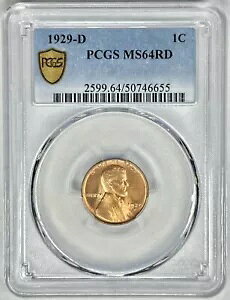 1929 D 1c �E�B�[�g �Z���g PCGS MS64RD ���b�h �����J�[�� �y�j�[ �f���o�[ �~���g �č��R�C�� ��