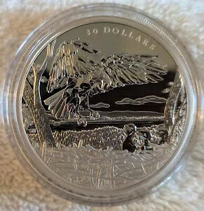 ʓIȓ̉Ƒ: nNgEV 2022 $30 Ji_Y 2IX