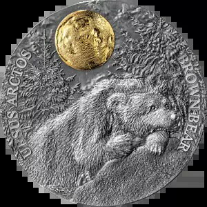 Brown Bear Wildlife in the Moonlight 2 IX AeB[Ndグ Vo[ RC jEG 2023