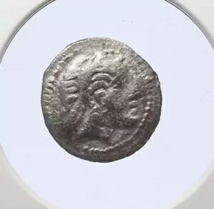 �f�B���g���A�X 1 �� �͑� AR �h���N�} �R���}�Q�l��� �I���O 1 ���I - NGC Ch F