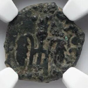 NGC Ch F�ACHOICE FINE �|���e�I�E�s���g�A���� 26 �` 36 �N�A���_�����C�G�X �����R�C��