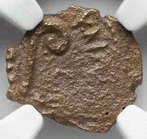 NGC Ch F�ACHOICE FINE �|���e�I�E�s���g�A���� 26 �` 36 �N�A���_�����C�G�X �����R�C��