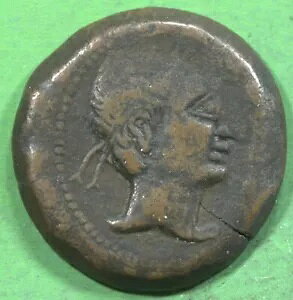 [}̑B AE26 AEOXgDX JXgD̐ ̂XtBNX