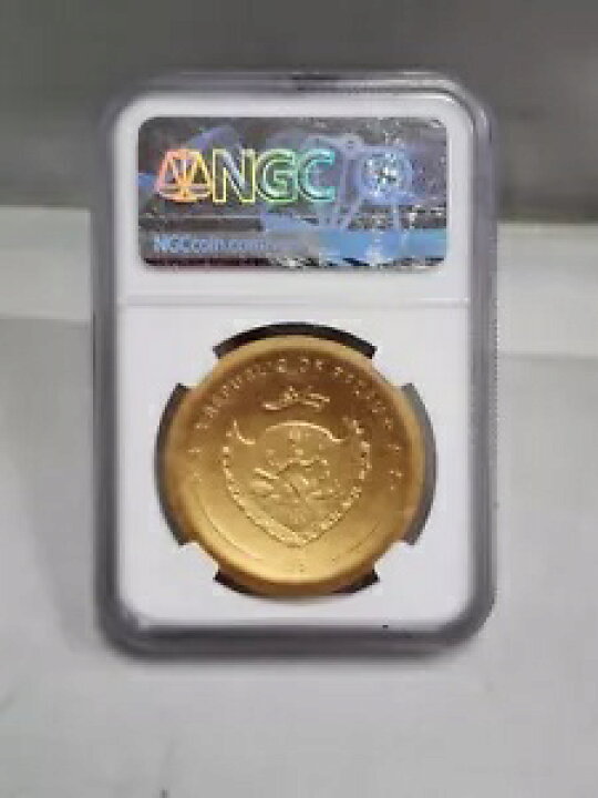 楽天市場】2021 金パラオ $5 インカ太陽神 NGC MS 70 マットコイン
