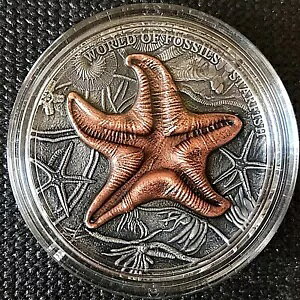 �j�E�G 2019 World of Fossil�uSTARFISH�v2�I���X����n�C�����[�t�R�C���B