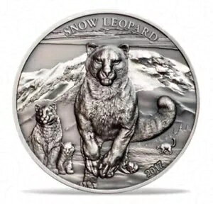 S 2017 LqE Vo[ RC 쐶ی 1 IX AeB[N RC