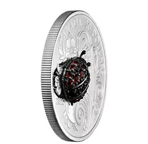 ΂΂߂WEbL̂ĂƂAubNTt@CAtAJi_ 1 IX