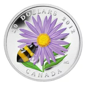 2012 $20 �A�X�^�[ �x�l�`�A�� �K���X �o���u���r�[�t�� - ����R�C��