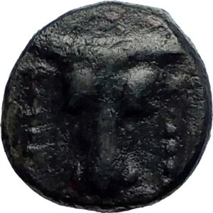 PHOKIS MV {̌Ñ 357BC {̃MṼRC BULL i74136