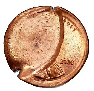 2000 1c K͂ȃLmR̋l܂Lbvt_C J[ Zg ~g G[ RC