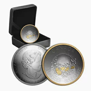 Ji_ǁAݒT̃N_CNES[hbV125N 2021 $25