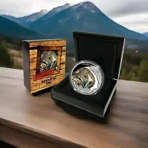 2018 co $1 Ŋ뜜 **͂ȃtNE** 1 IX 0.999 Vo[ v[t RC