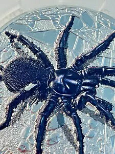 2023 I[XgÃt@lEFu XpC_[ 5 IX Vo[ v[t -PCGS PR69DCAM-MINTAGE 500