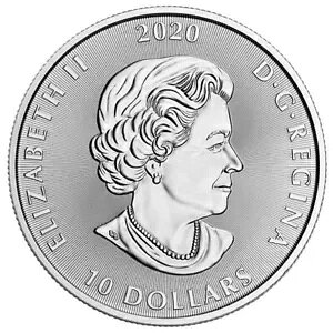 �V���o�[ 2020 KRAKEN 2�I���X x 5 �R�C�� �J�i�_������ �k�̐�����