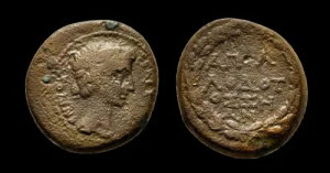 AE17 AUGUSTUS �A���e�B�I�P�C�A �A�h ���[�A���f��-�J���A �������� �A�|���h�g�X ���A�R�C���I