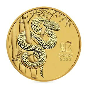 vZ[ 2025 1/20 IX p[XAN֋ (BU)