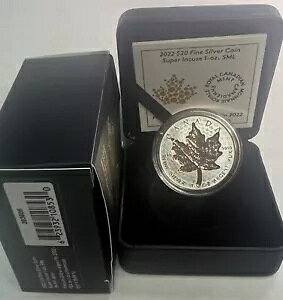 2022 Ji_ $20 ㎿ - X[p[ CL[Y 1 IX Vo[ [v [t SML .999