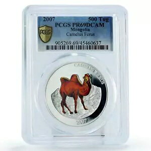 S 500 gObO Ŋ뜜쐶N_ tFX PR69 PCGS  2007