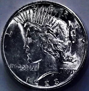 ??1923-D s[Xh??MȂقǒt??f炵??RC??