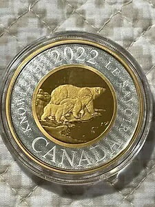 2022 Ji_Y 2 IX ? j[A Vo[ gD[j[: m̓ ~e[W 2,500