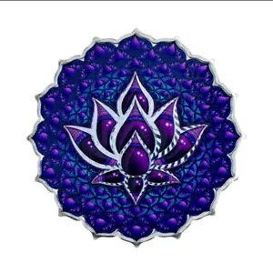 2024 \ tB CX  7 `N RC 2 IX Vo[ PAMP