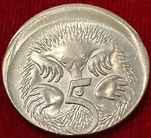 2000 I[XgA 5 Zg G[u[hXgCN/10% ItZ^[ aUNC RC