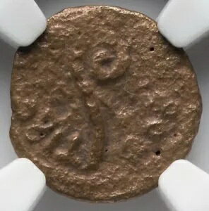 NGC Ch F�ACHOICE FINE �|���e�I�E�s���g�A���� 26 �` 36 �N�A���_�����C�G�X �����R�C��