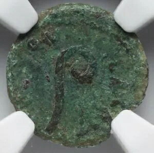 NGC Ch F�ACHOICE FINE �|���e�I�E�s���g�A���� 26 �` 36 �N�A���_�����C�G�X �����R�C��
