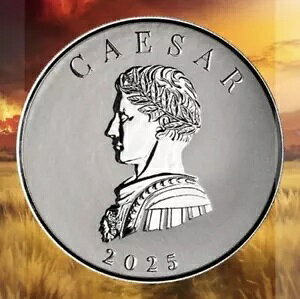 2025 - 5 IX CAESAR Vo[ RC .9999 t@C Vo[ v[t CN - R}_[ V[Y