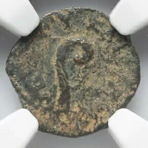 NGC Ch F CHOICE FINE �|���e�B�E�X �s���g ���_�� �C�G�X �����R�C�� 26-36 AD AE Prutah