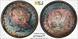 �����X�^�[ ���C���{�[ 1882-o ���[�K�� �h�� PCGS AU ���K�i �ڍׂɋ^��̂���F�B