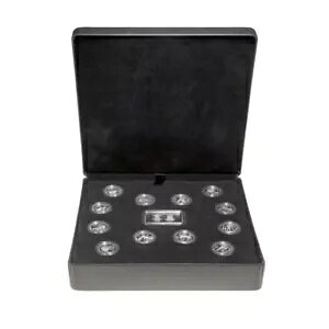 2010 NoN[o[ IsbN◬ʃRC Zbg X^[O Vo[ EGn[X