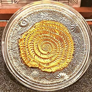 �j�E�G 2017 Evolution of Earth�uNummulites�v 2�I���X ���e�j�E�� ���b�L �V���o�[ �R�C��