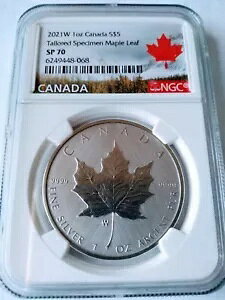 2021-W Ji_ S$5 Vo[ e[[h W{ [v [t NGC SP70