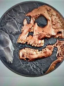 �G�{�����[�V������� �q�g�� 2021 1�I���X �����S��