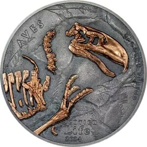 Evolution of Life Aves 2024 500 Togrog 1 �I���X �V���o�[ �R�C�� �����S�� CIT