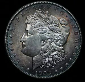 US �����K�� �V���o�[ �_���[ 1902 �j���[�I�[�����Y �g�[���̔��������R�̏��_ C881