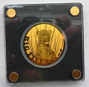 2023 `h 999 S[h RC xr[ qE pe[ Lbg rbO 5 vf^[ 쐶 WWF